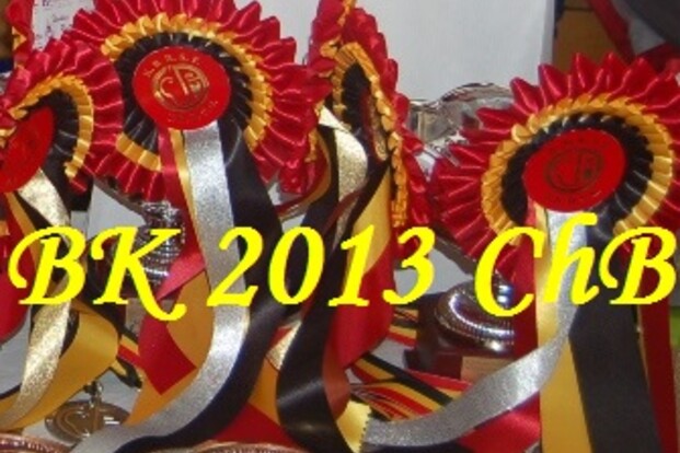 Belgisch Kampioenschap 2013 Championnat de Belgique - update
