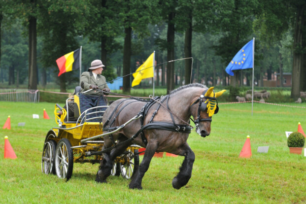 Huldiging Jeugd en winnares wisseltrofee