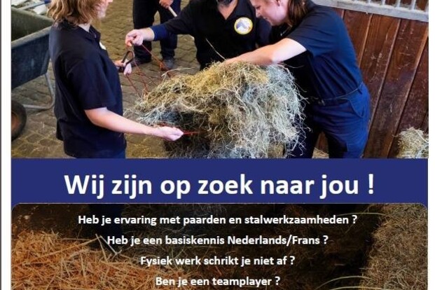 Federale Politie zoekt stalmedewerkers