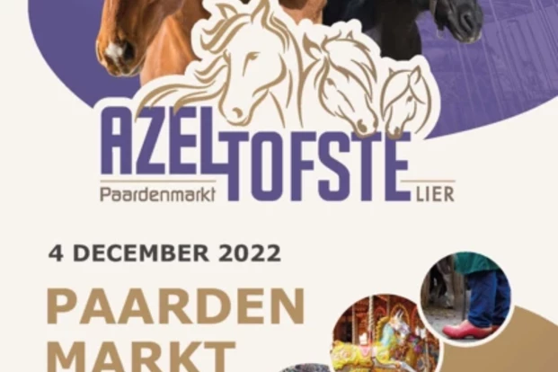 De Azeltoftste Paardenmarkt van Vlaanderen op zondag 4/12