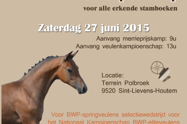 Open Vlaams
BWP-veulenkampioenschap Open Vlaams
BWP-veulenkampioenschap