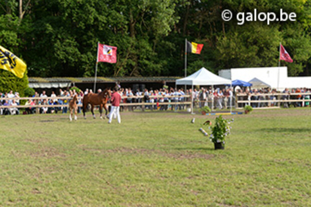 Zonnige start van BWP-prijskampseizoen in Moerbeke