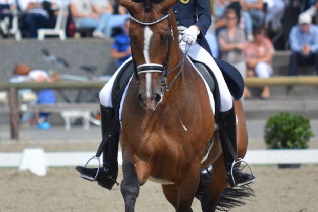 Verwimp voor Devroe in CDIO5* Compiègne Verwimp voor Devroe in CDIO5* Compiègne