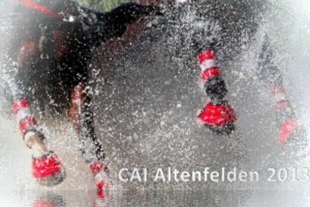 Dossier Altenfelden (AUS) CAI-A 1-2-4 WCupQ-CAIP-A 1-2-4 - 19-23/06/2013