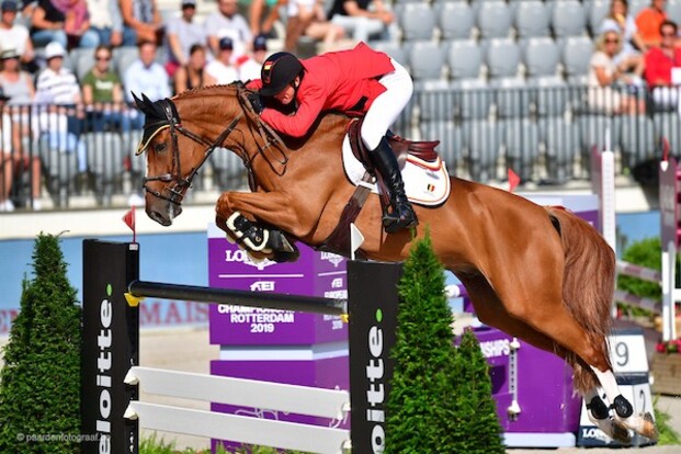 Igor is Landbouwleven Paard van het jaar!