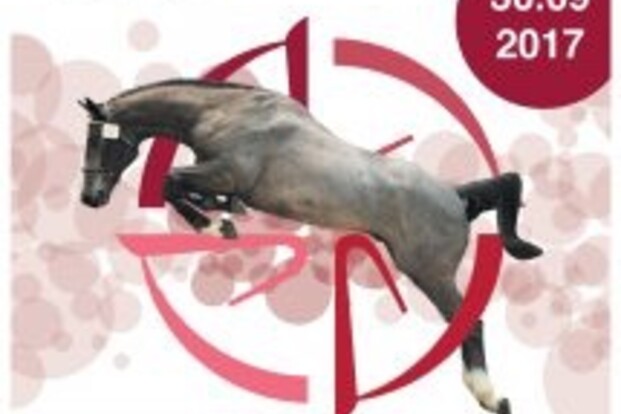 FLANDERS FREEJUMP TOUR 30/9 Zilveren Spoor FLANDERS FREEJUMP TOUR 30/9 Zilveren Spoor