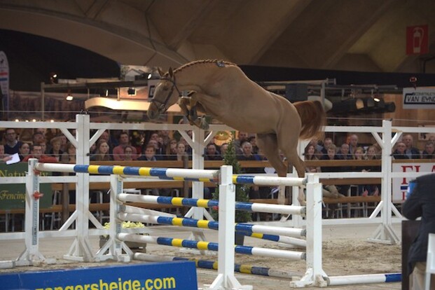 BWP boven tijdens Emerald Freejump Contest! BWP boven tijdens Emerald Freejump Contest!