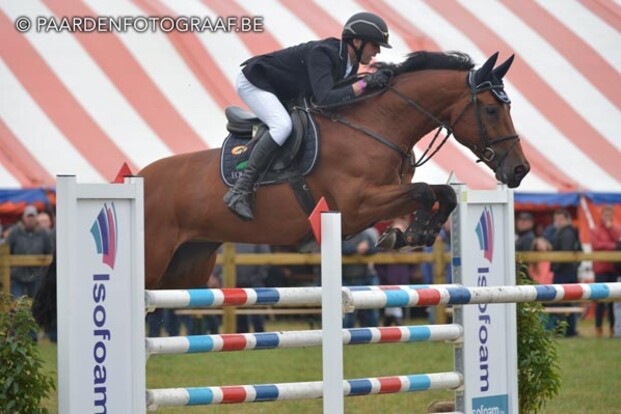 Provinciale kamp. LRV paarden
