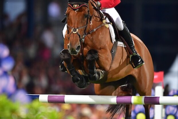 Pieter Devos op 5 in CSI2* GP van Valence!