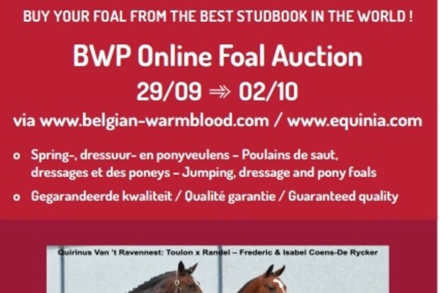 BWP Online Foal Auction: Collectie online