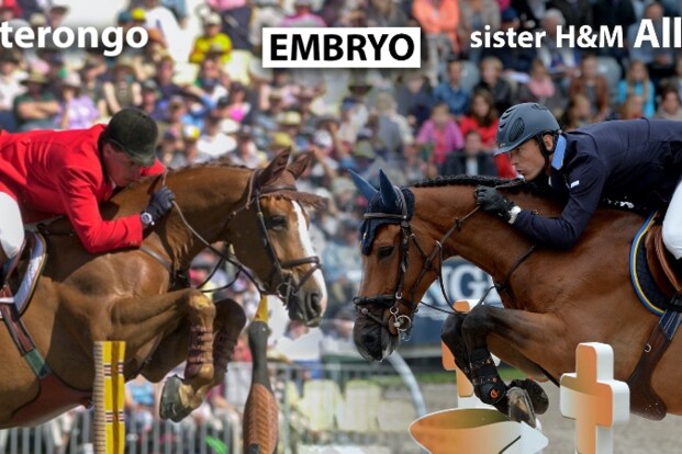 Philippaerts koopt embryo uit zuster All In