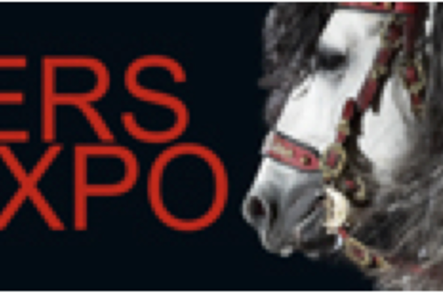 Nog 2 weken voor Flanders Horse Expo