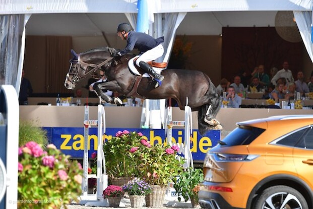 Le Blue Diamond verhuist naar Philippaerts!