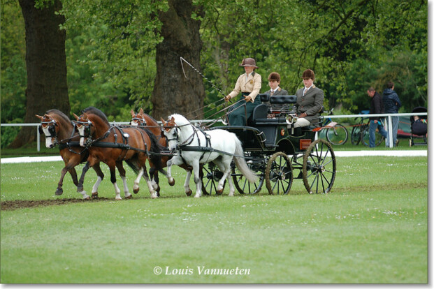 Windsor, 2de dressuurplaats voor Tinne Bax