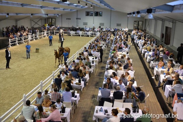 Geslaagde Auction Twinkeling
