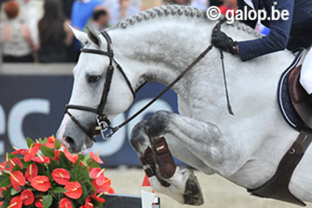 GCT-debuut van Castelino en Gerco (VIDEO)