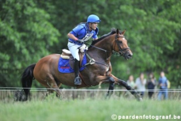 Steve Van Winkel zevende in CIC3* Renswoude