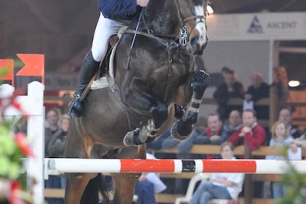 CSI1* Bonheiden voor Nicolas Leemans CSI1* Bonheiden voor Nicolas Leemans