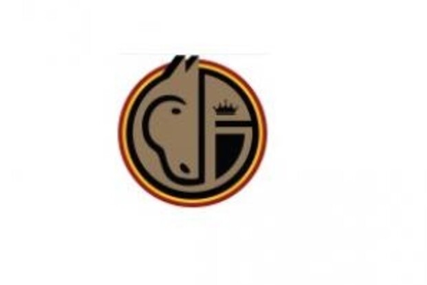 Springcommissie vernieuwt nationaal jumping