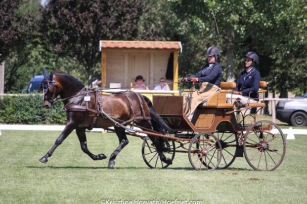 Sterke start voor Belgen in Kisber-Aszar
