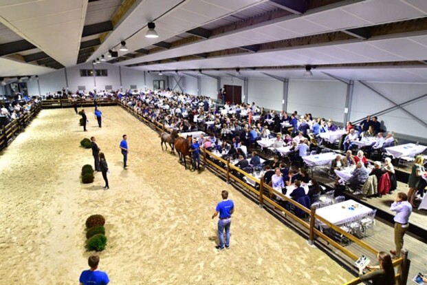 Unieke kansen dit weekend tijdens Auction Tw Unieke kansen dit weekend tijdens Auction Tw