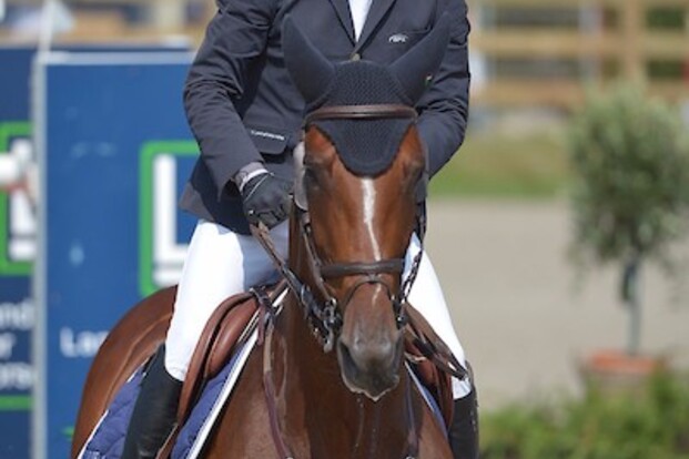 CSI2* Lier: Caio Carvalho in bloedvorm! CSI2* Lier: Caio Carvalho in bloedvorm!