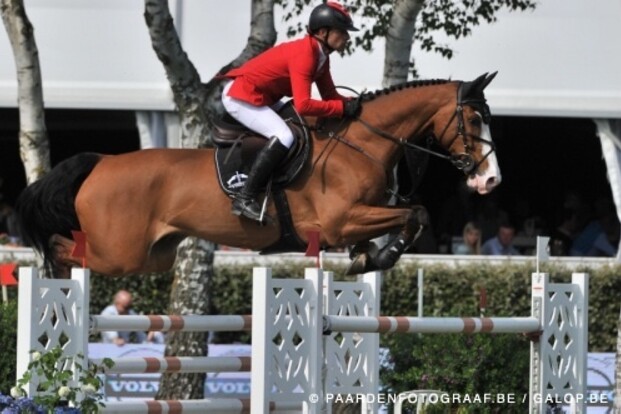 Toulago naar Stephex Stables