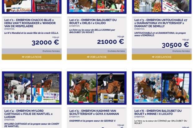 Hoge prijzen op de embryoveiling Fences Web