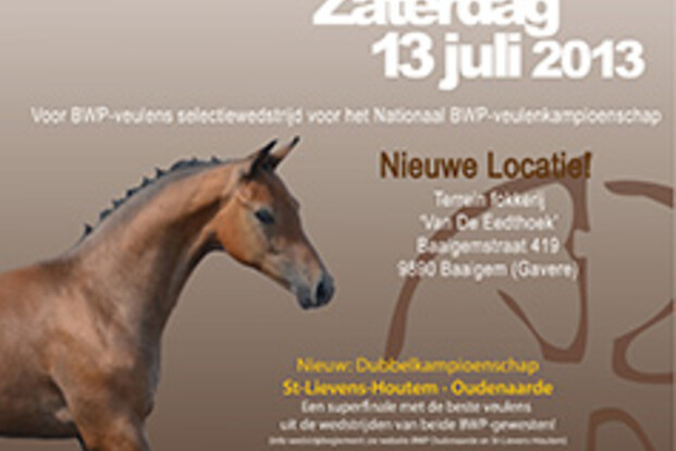Open Vlaams BWP-veulenkampioenschap