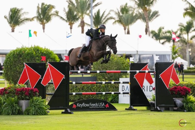 Nicola Philippaerts verovert direct zilver in de CSI3* GP van Wellington Nicola Philippaerts verovert direct zilver in de CSI3* GP van Wellington