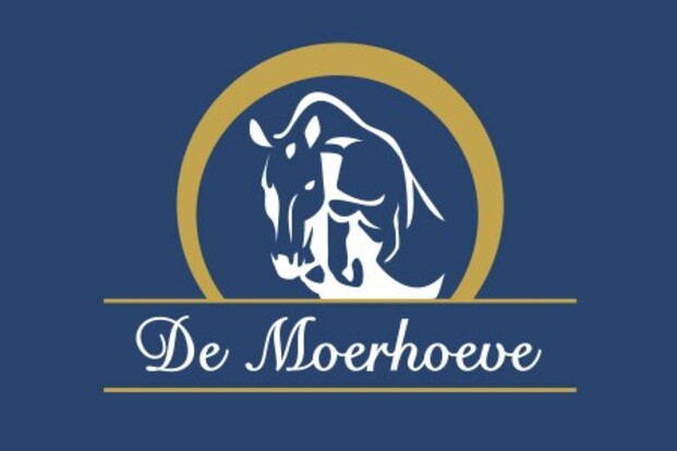 Nieuwe website voor De Moerhoeve