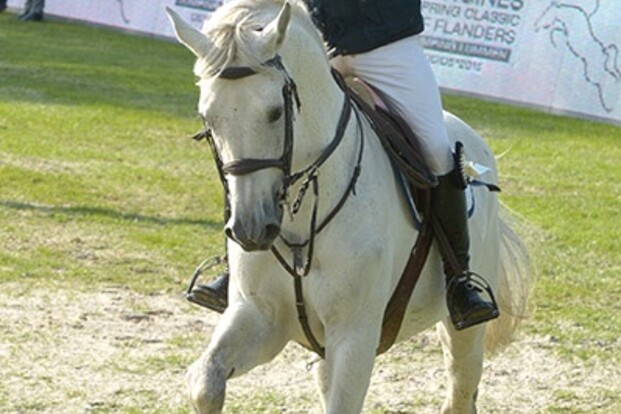 Geoffrey Cobbaut 3x naar winst in Lummen Geoffrey Cobbaut 3x naar winst in Lummen