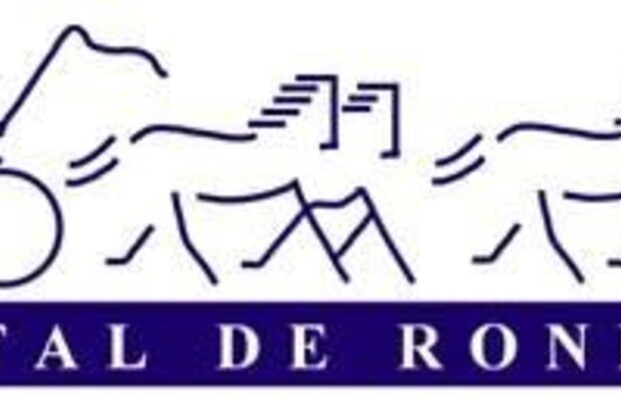 Livestream Indoor Stal de Ronde - Zwartewaal