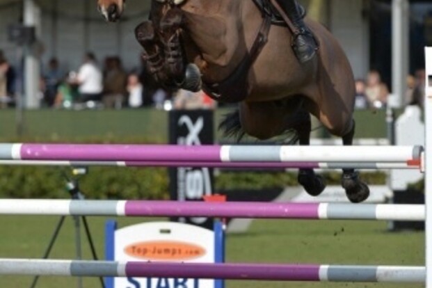 Ook Guy Williams wint op dag een Lummen