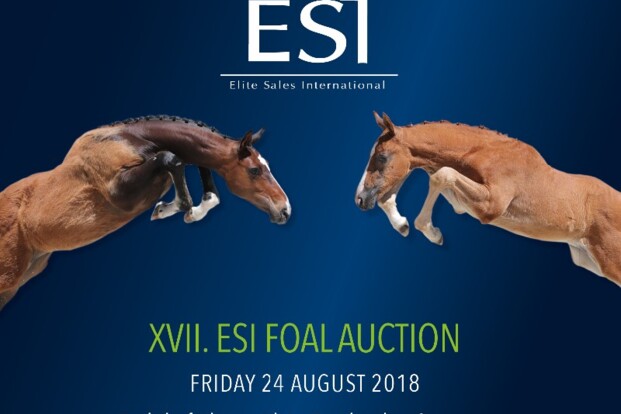 ESI veiling: 101 eliteveulens ESI veiling: 101 eliteveulens