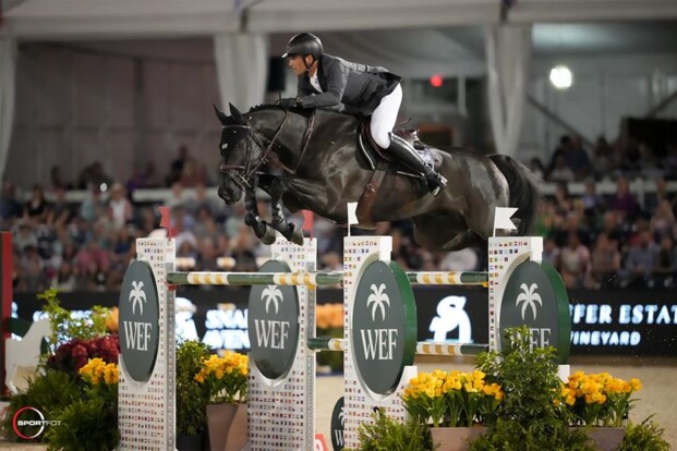 Zilver voor Nicola Philippaerts in de CSI4* GP van Wellington! Zilver voor Nicola Philippaerts in de CSI4* GP van Wellington!