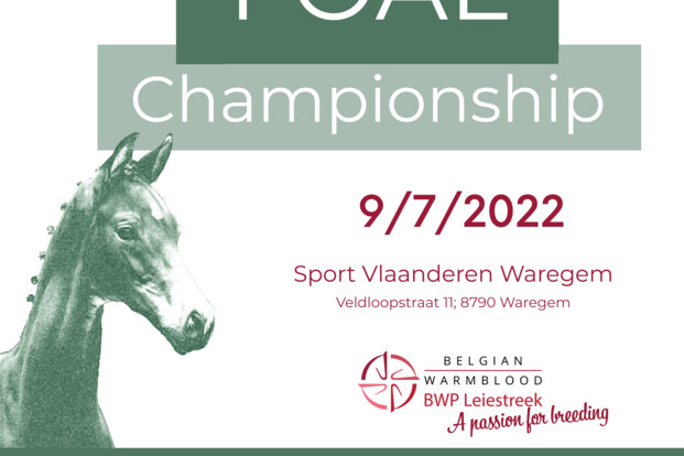 Schrijf nu in voor Flanders Foal Championship (9 juli 2022 – Waregem)!