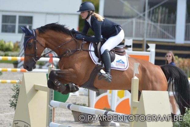 CSI1* Zandhoven: Hazebroek is de snelste