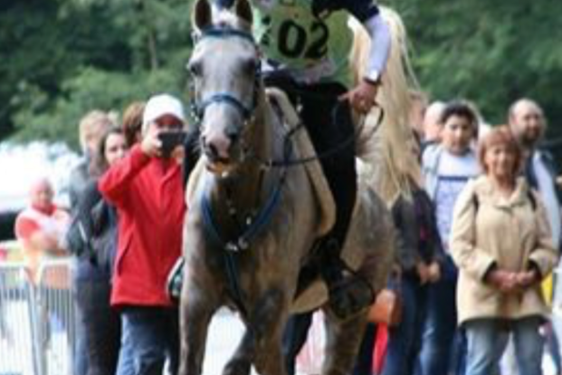 EK en WK Jonge paarden Endurance