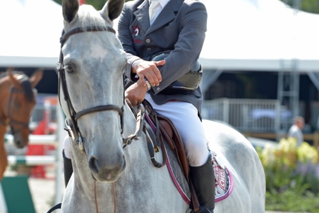 CSI2* Zandhoven: Goffinet wint opening CSI2* Zandhoven: Goffinet wint opening