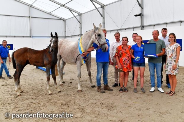 Asca Z & Toulon leveren kampioenen op dag 2