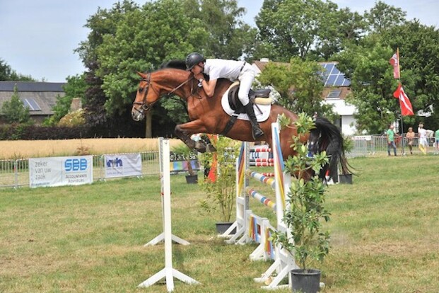 CSI3* Lier: Hoflack en Van Belle op podium