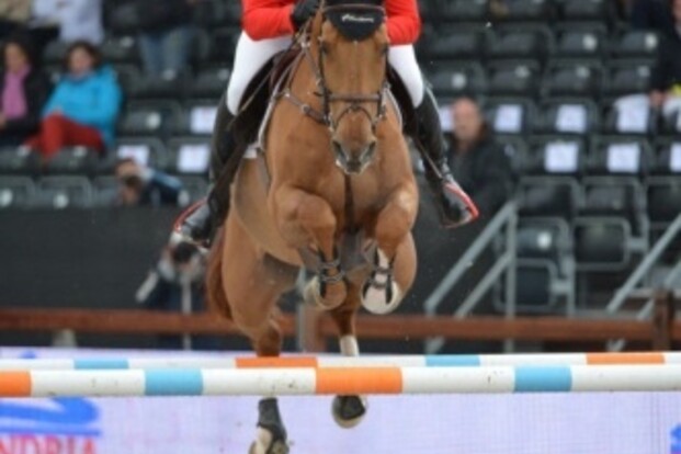 Antwerpen: Mathy wint openingsproef CSI3* Antwerpen: Mathy wint openingsproef CSI3*