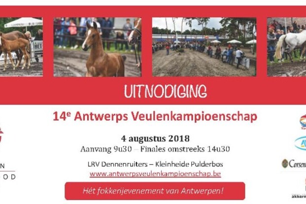Record aantal inschrijvingen ! Record aantal inschrijvingen !
