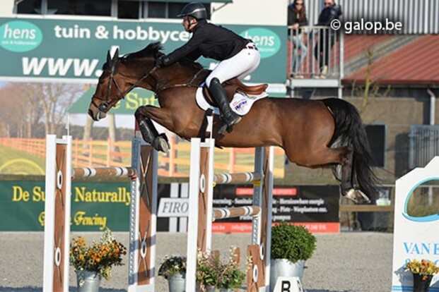 Jake Saywell wint Young Riders Lier Jake Saywell wint Young Riders Lier