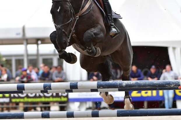 CSI2* Opglab.: Demeersman naast het podium