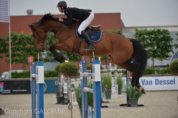 CSIY Valkenswaard: Andres Vereecke op 2