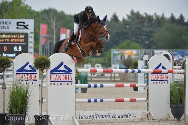 CSIU25 Valkenswaard: Gaublomme in bloedvorm