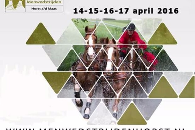 Horst, NK vierspan paarden Horst, NK vierspan paarden