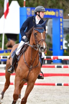 CSI4* Crans-Montana: W. Devos in top 5!